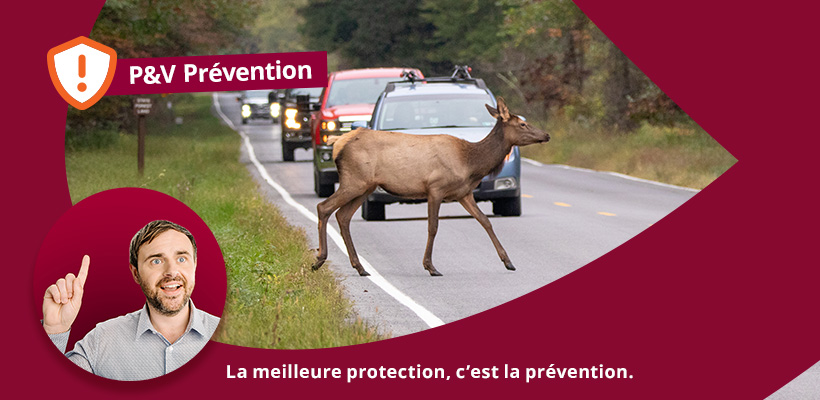 Image of the blog article